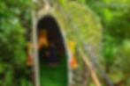 Ayurveda & Yoga Wellness Retreat at Veda5, Rishikesh