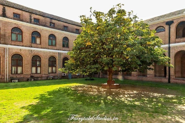 Forest Research Institute_Dehradun_Place