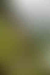 A guide to Taktsang monastery, Paro, Bhutan