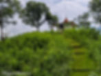 Ayurveda & Yoga Wellness Retreat at Veda5, Rishikesh