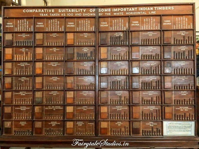 Forest Research Institute_Dehradun_Place