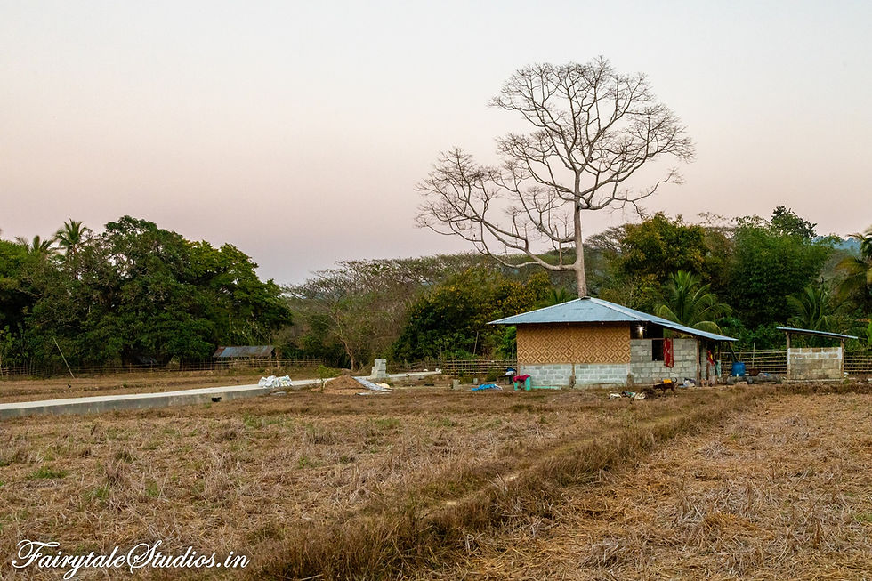 Mayabunder, Middle Andaman - India