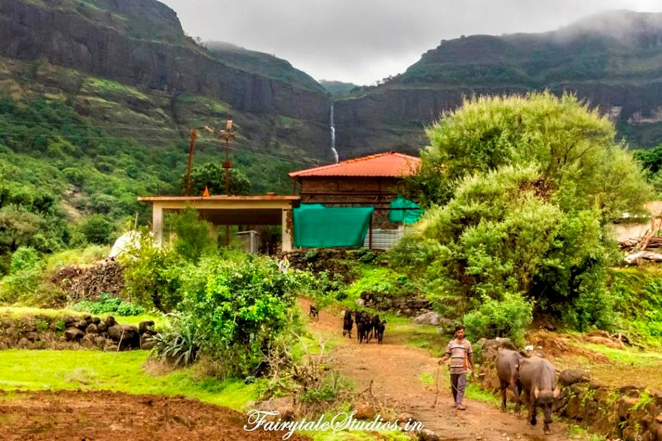 Harishchandragad Fort Trek_Purushwadi_Fa