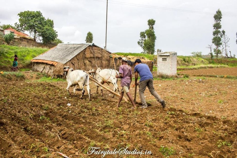 Purushwadi Village_Maharashtra_Fairytale