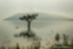 Fairytale Studios - Fine Art