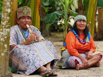 Amazonia Moyano Historia
