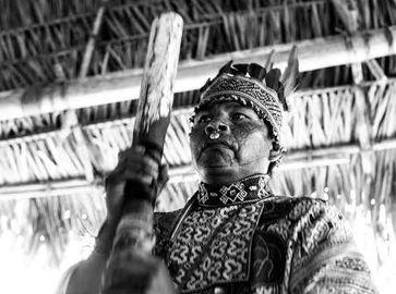 Amazonia Moyano Historia