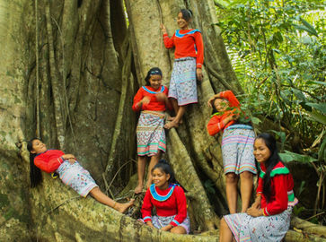 Grupo Amazonía Moyano
