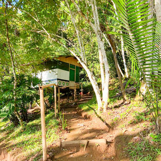 амазония мояно тамбо 2