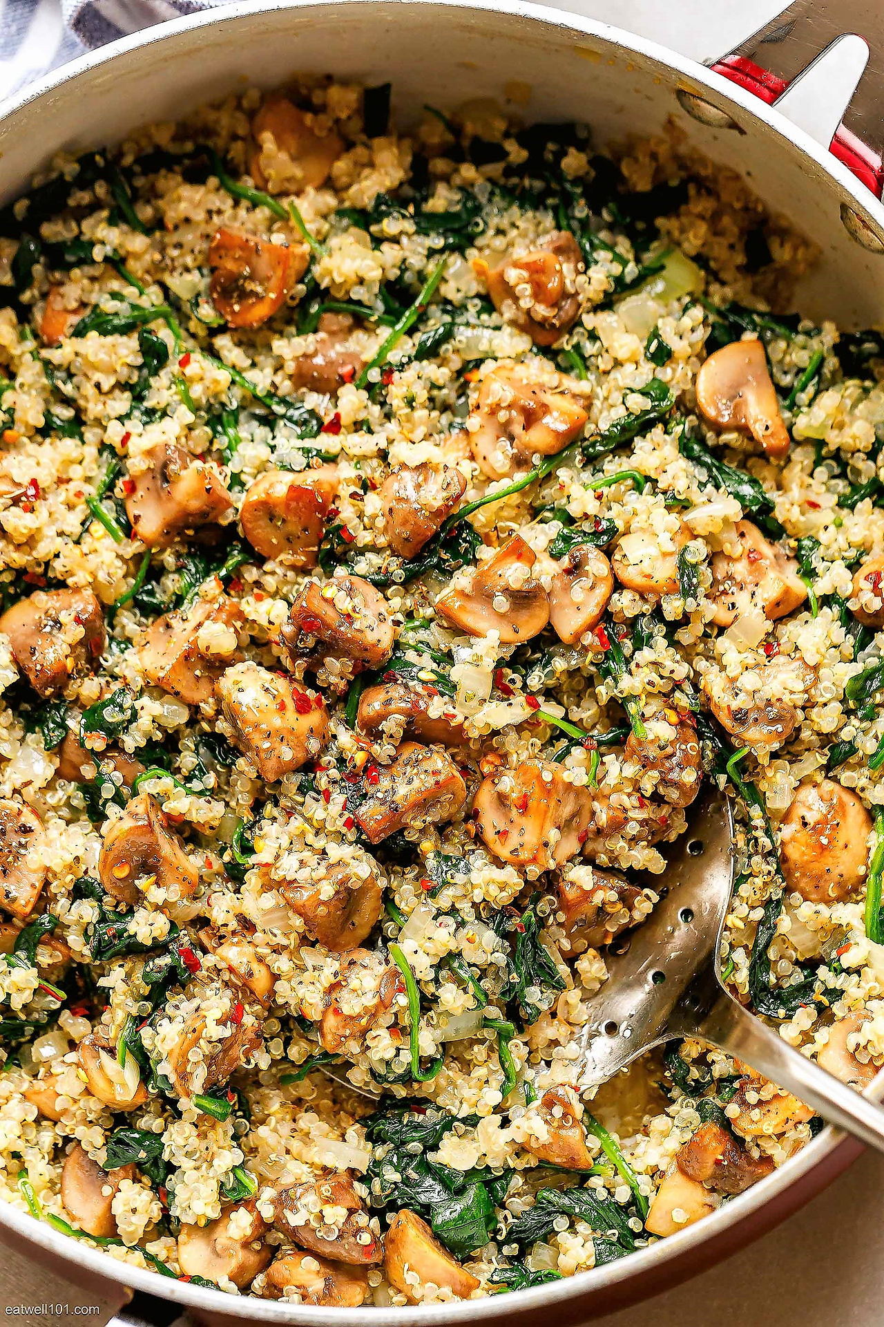 Quinoa, Spinach & Mushroom