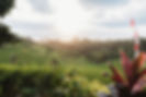 MTP00027.jpg