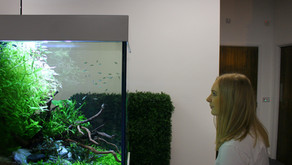 Biophilia and Mental Health Awareness