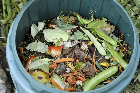 compost-bin-2.jpg.webp