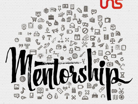 The Role of Mentorship in Startup Success