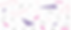 Rolli Logo Banner.png