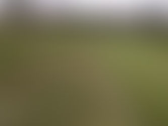 Week 1 Irrigation Progress