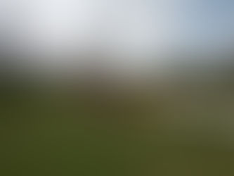 Irrigation Update 4/11/22