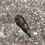Thumbnail: Set Of 6 Glitters- Pack 2