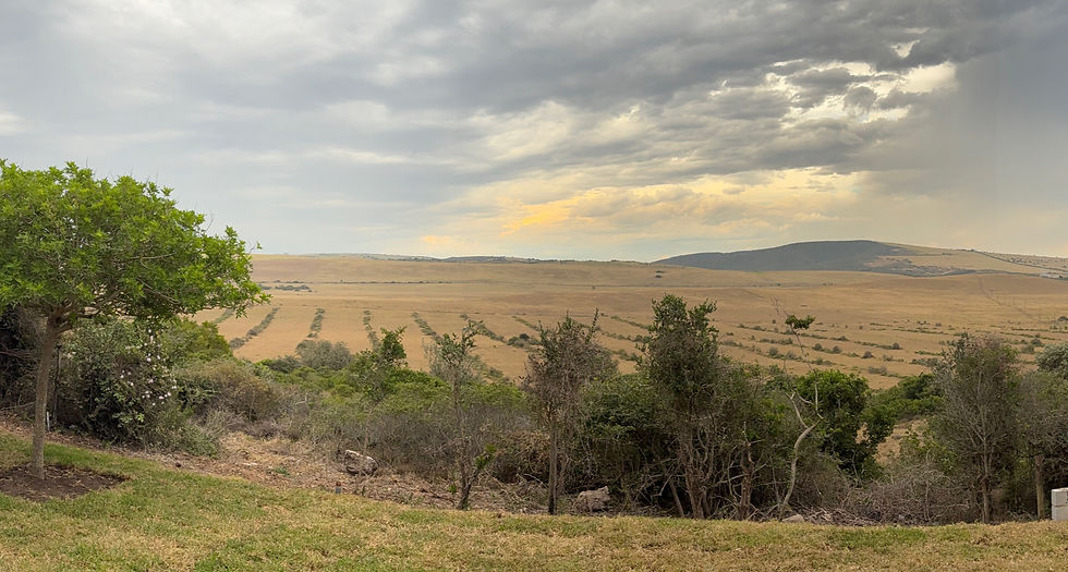 Discover See~nekal Views: A Peaceful Coastal Retreat in Boknes