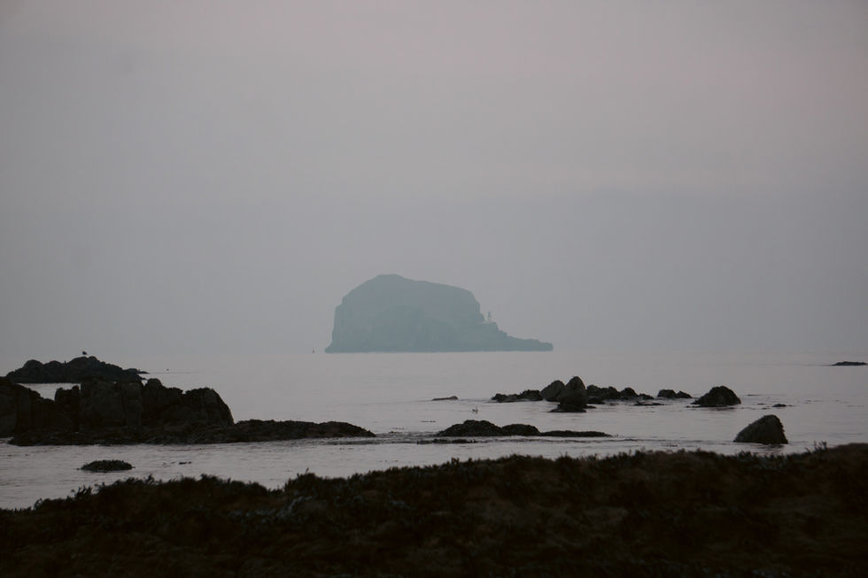 DSC04140.jpg