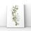 Thumbnail: Set of 3 Botanical Prints