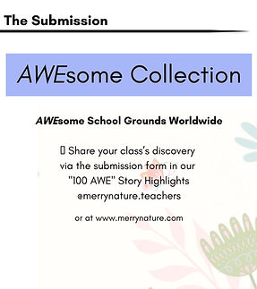 100AWE_One_Way_Carousel (5).jpg