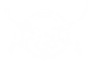logo white.png