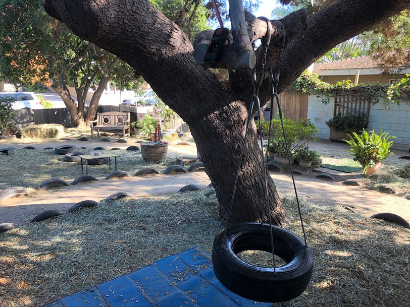 tire-swing.jpeg