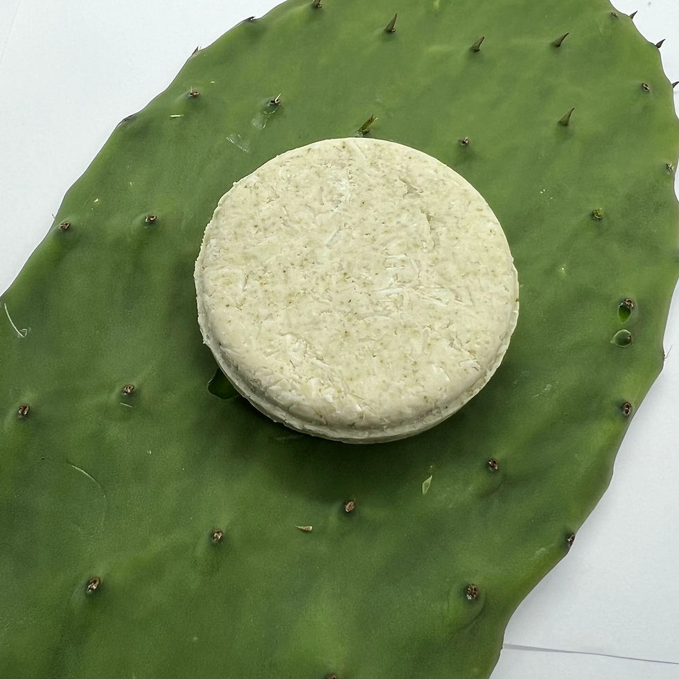 Thumbnail: Nopal Shampoo Bar