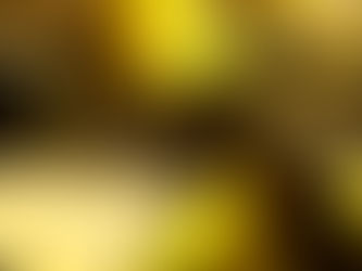 الذهب مستقر قرب ذروة 7 أشهر تطلعا لتوقف رفع الفائدة الأمريكية