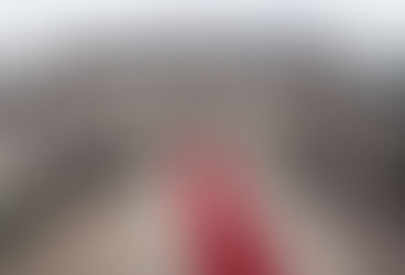 الإليزيه: فرنسا تريد إبعاد الزراعة عن اتفاق تجاري بين الاتحاد الأوروبي وأمريكا