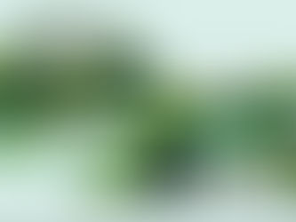سؤال وجواب.. كل ما يخص الصكوك الخضراء بناسداك دبي