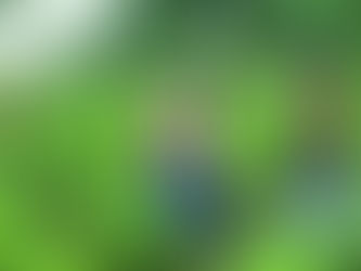 المعونات الزراعية تثير جدلا في "منظمة التجارة" .. الهند تواجه 3 إخطارات أمريكية