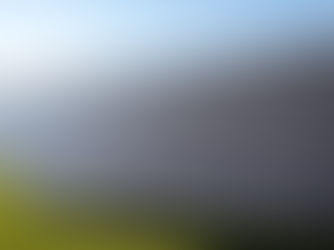 تأسيس مشروع ضخم لتوليد الطاقة الشمسية بدبي