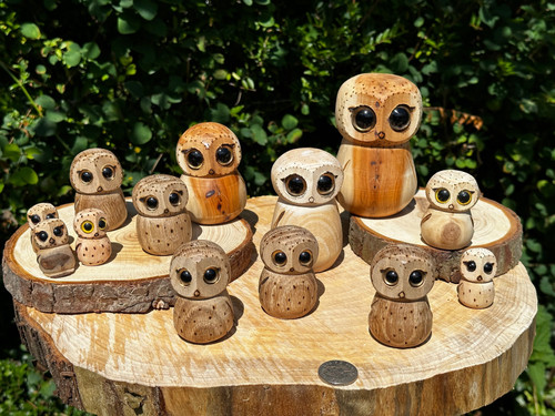  lumi ルミ　バード　owl フクロウ Medium carved owl | wolverhampton carvings