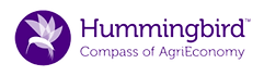 image-removebg-preview (1).png