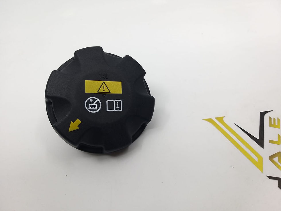 Küçük resim: RADYATÖR KAPAĞI 140 ORJİNAL - TEK FİYATI - E87 E90 F20 F30 F32 F36 G20 G30 X1 X3