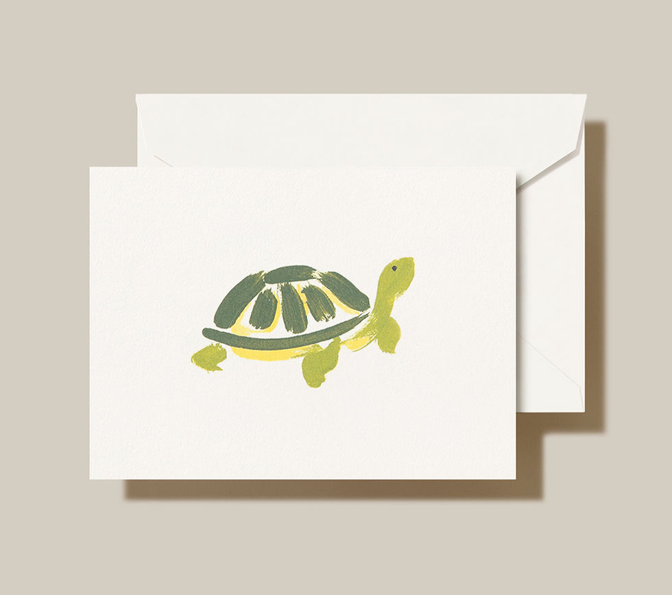 Crane Brushstroke Turtle Note Box Set