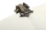 Thumbnail: Esterbrook Tree Frog Page Clip