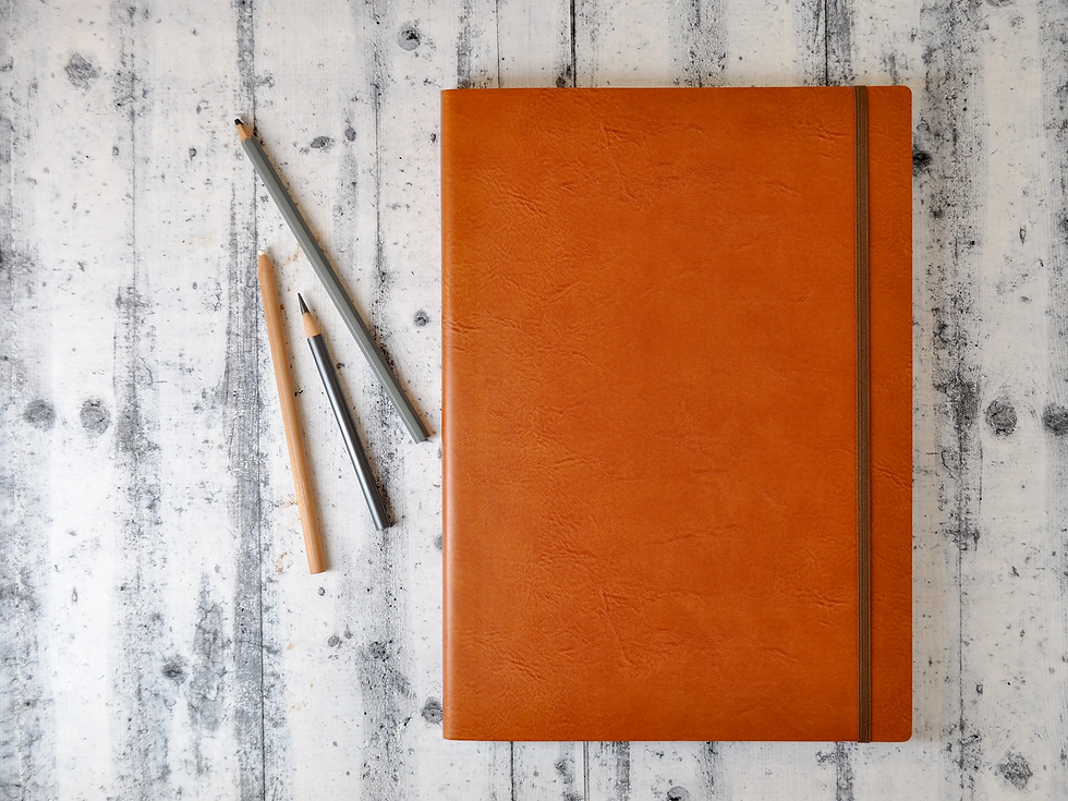 Thumbnail: Italian Leather Sketch Books