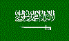 SARflag.gif