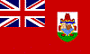 BERflag.gif