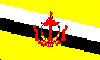 BRUflag.gif