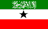 SODflag.gif