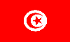 TUNflag.gif