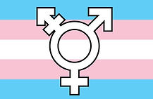 Transgender symbol.jpg
