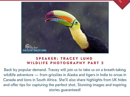 What’s On This Week: Tracey Lund – Wildlife Photography Part 2