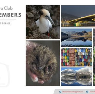 Meet The Member: Karen Weir