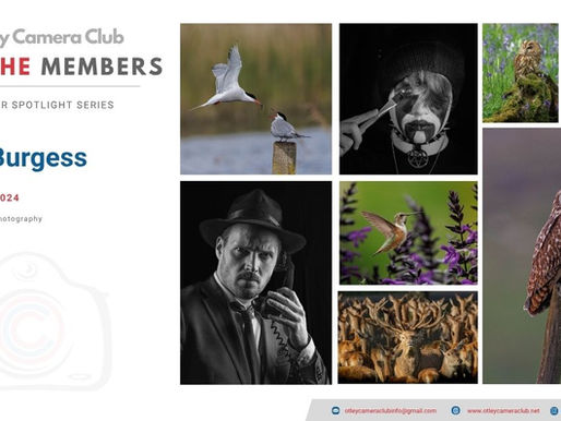 Meet The Members: Danni Burgess