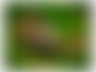 A Fantastic Weekend in the Lake District